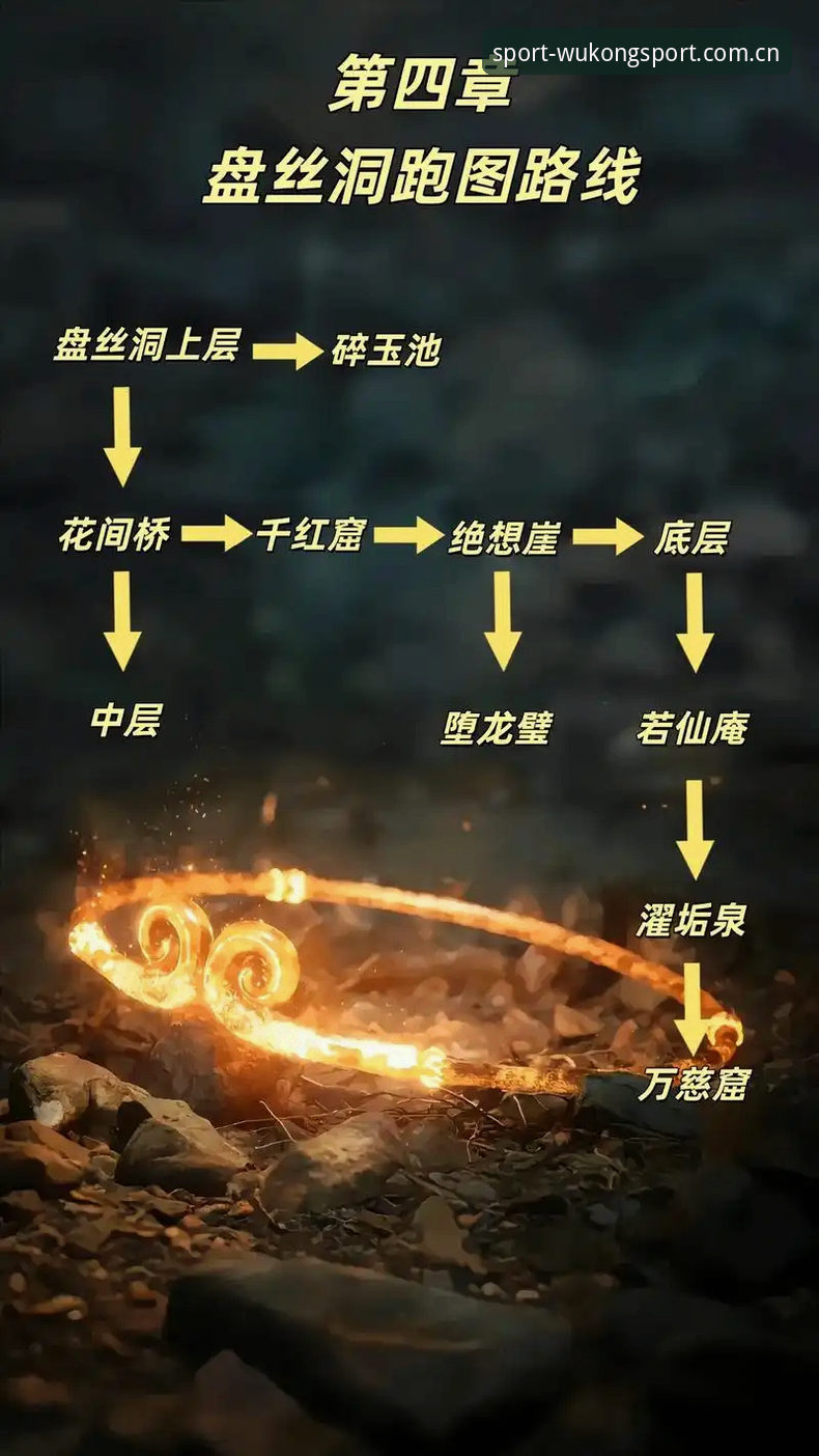 悟空体育体验深度分析：从技术架构到用户体验的全面评测